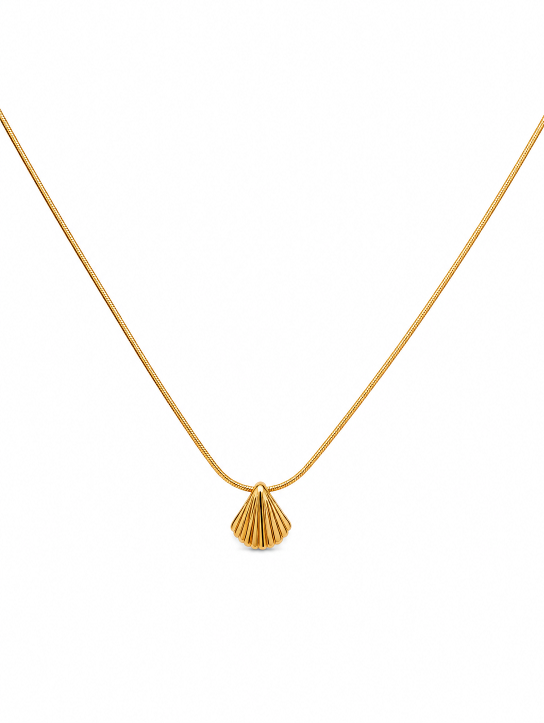 Gold ridged seashell pendant necklace on snake chain